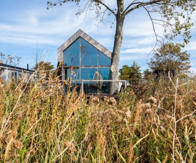 Paardekreek-Kreeksuite-Kortgene-natuur